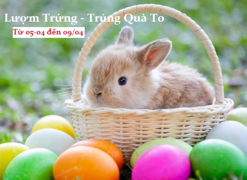 Lượm trứng - Trúng quà to
