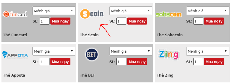 Hướng dẫn cách Nạp Thẻ Scoin bằng Visa
